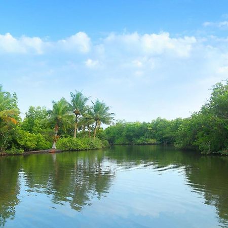Global Lake Villa Hikkaduwa Buitenkant foto