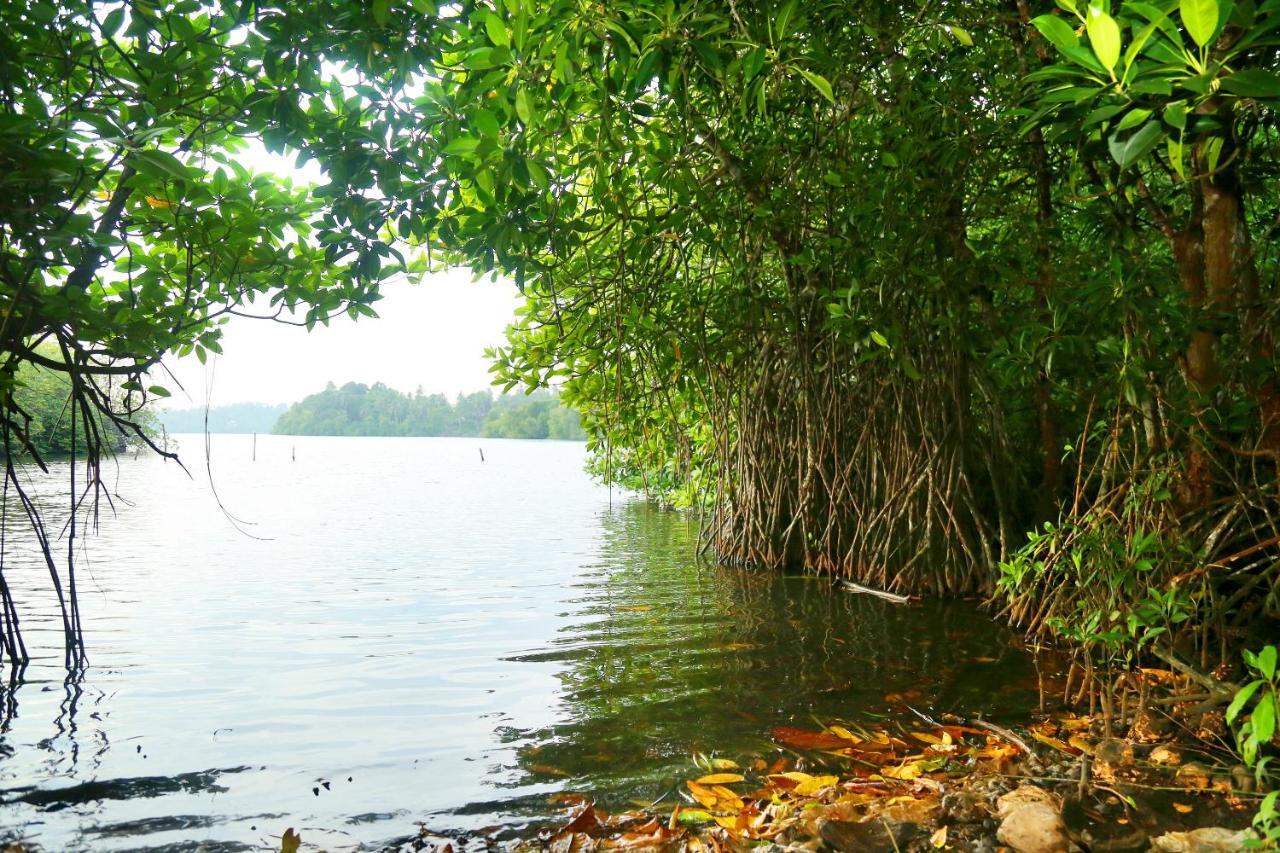 Global Lake Villa Hikkaduwa Buitenkant foto