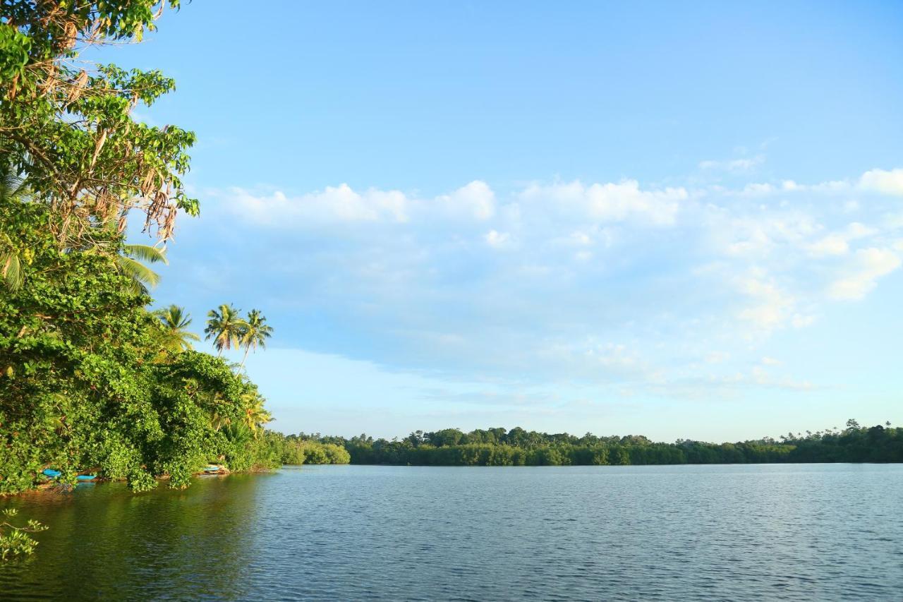 Global Lake Villa Hikkaduwa Buitenkant foto